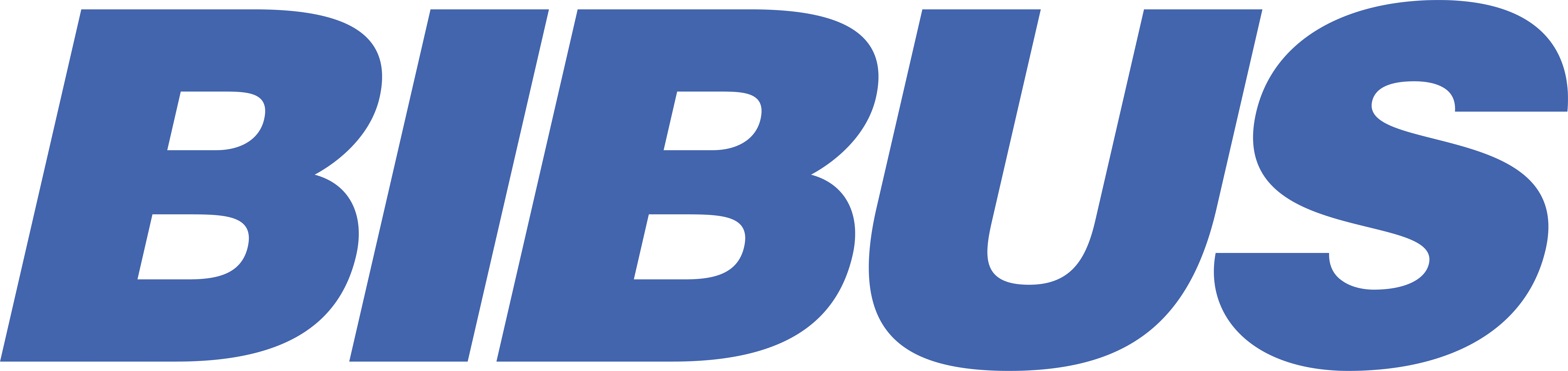 BIBUS